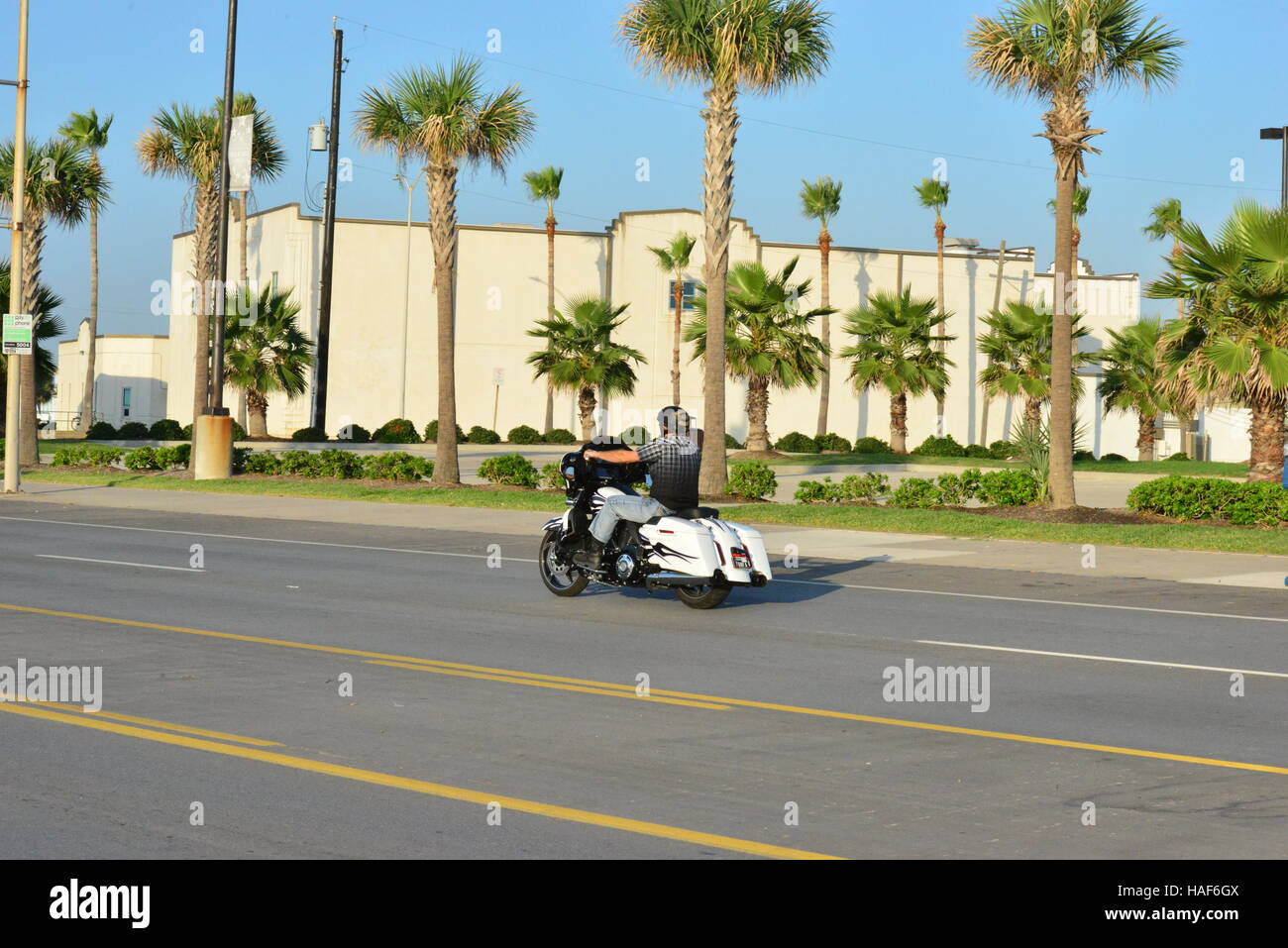 Harley Davidson Motorcycles at Galveston in Texas Stock Photo Alamy