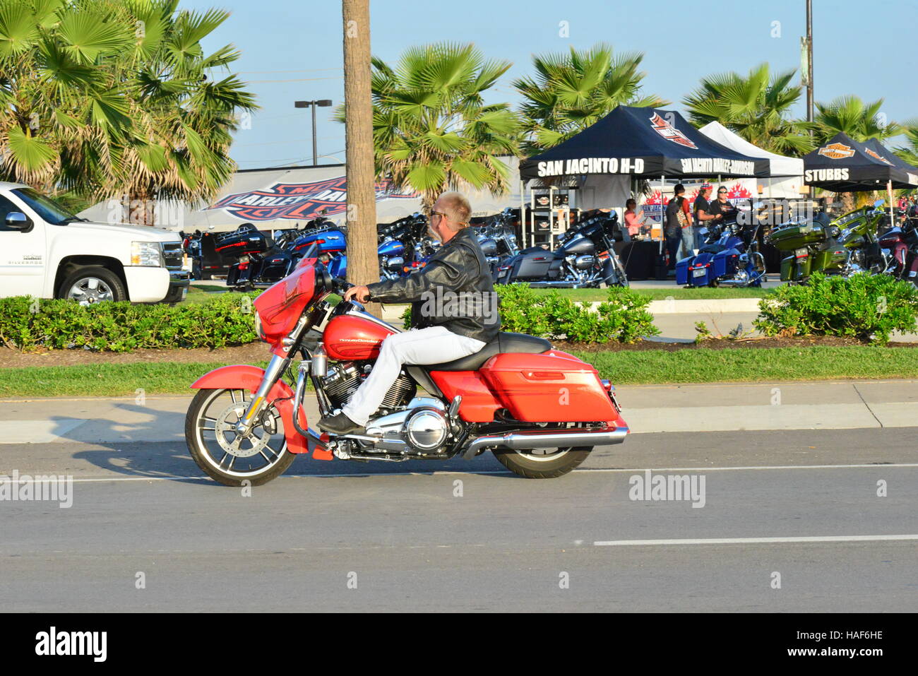 Harley Davidson Motorcycles at Galveston in Texas Stock Photo Alamy