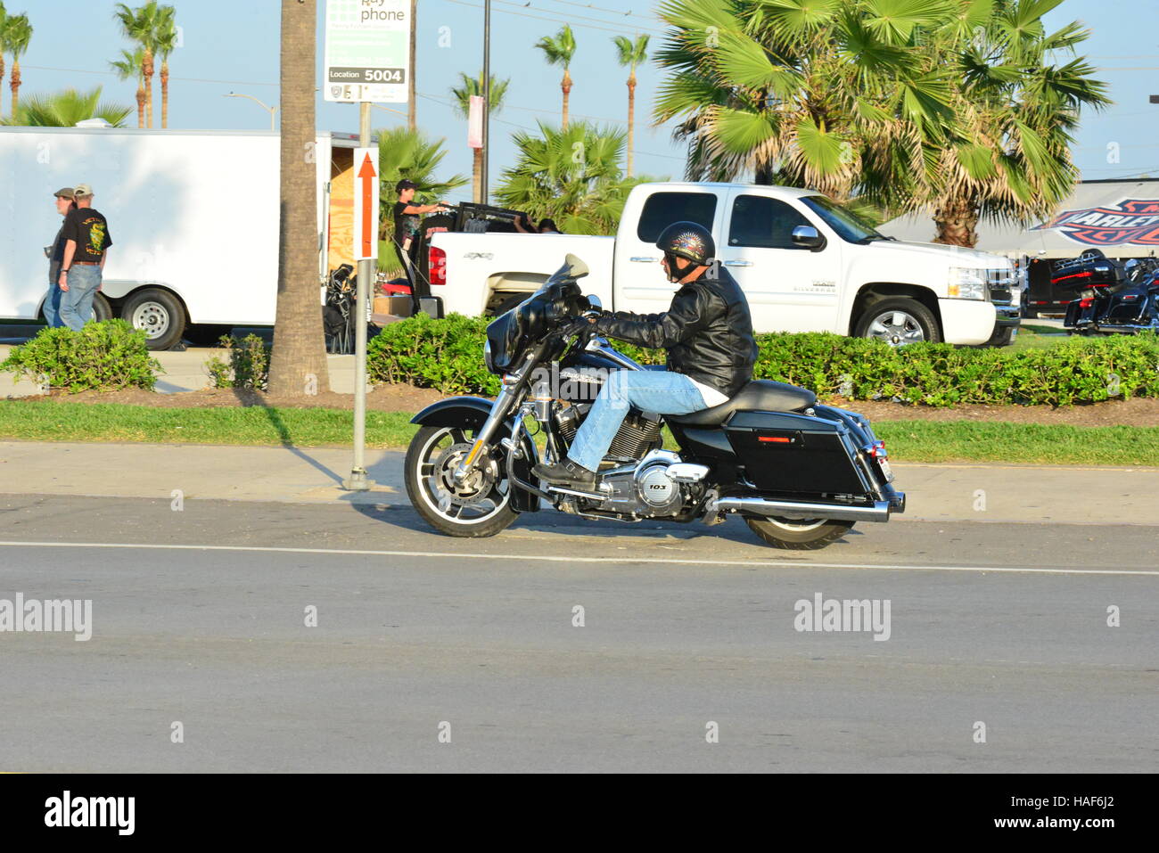 Harley Davidson Motorcycles at Galveston in Texas Stock Photo Alamy