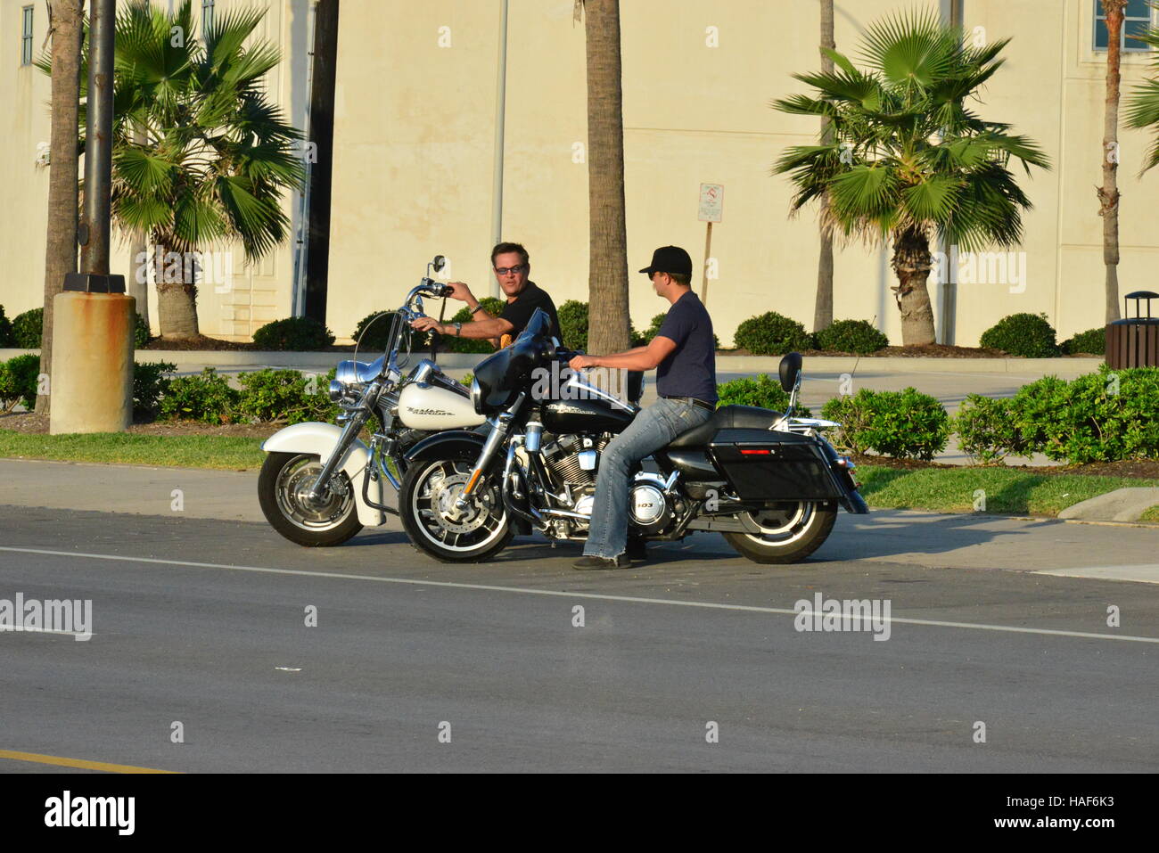 Harley Davidson Motorcycles at Galveston in Texas Stock Photo Alamy