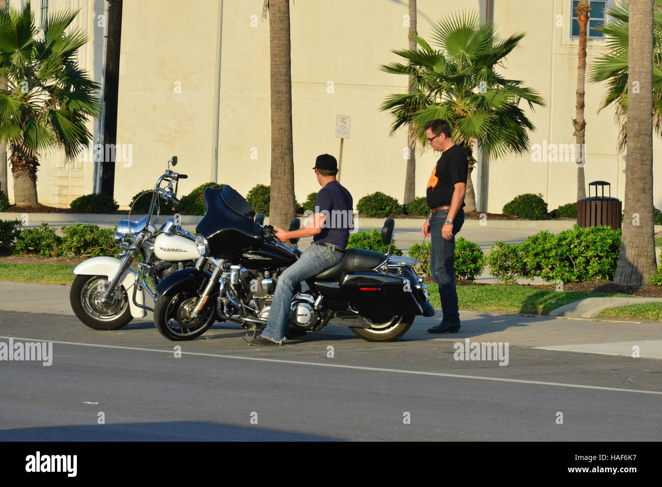 Harley Davidson Motorcycles at Galveston in Texas Stock Photo Alamy
