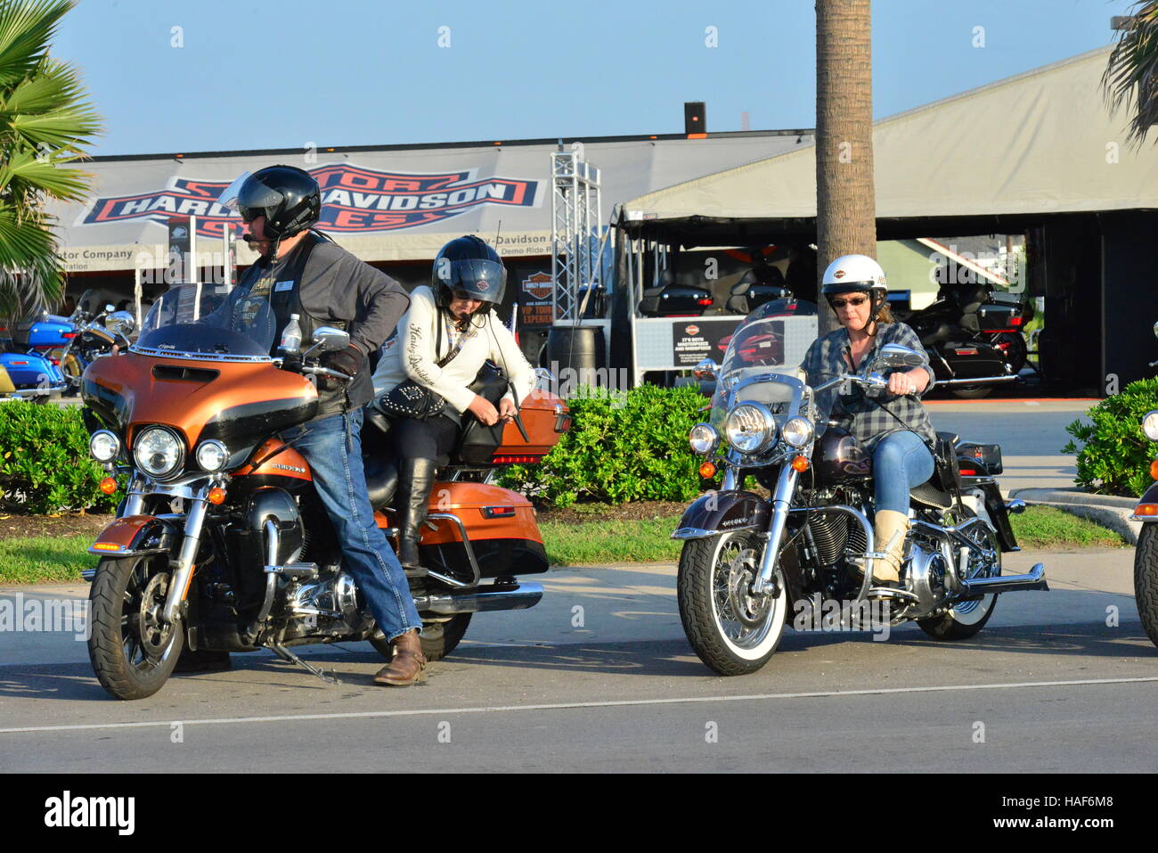 Harley Davidson Motorcycles at Galveston in Texas Stock Photo Alamy