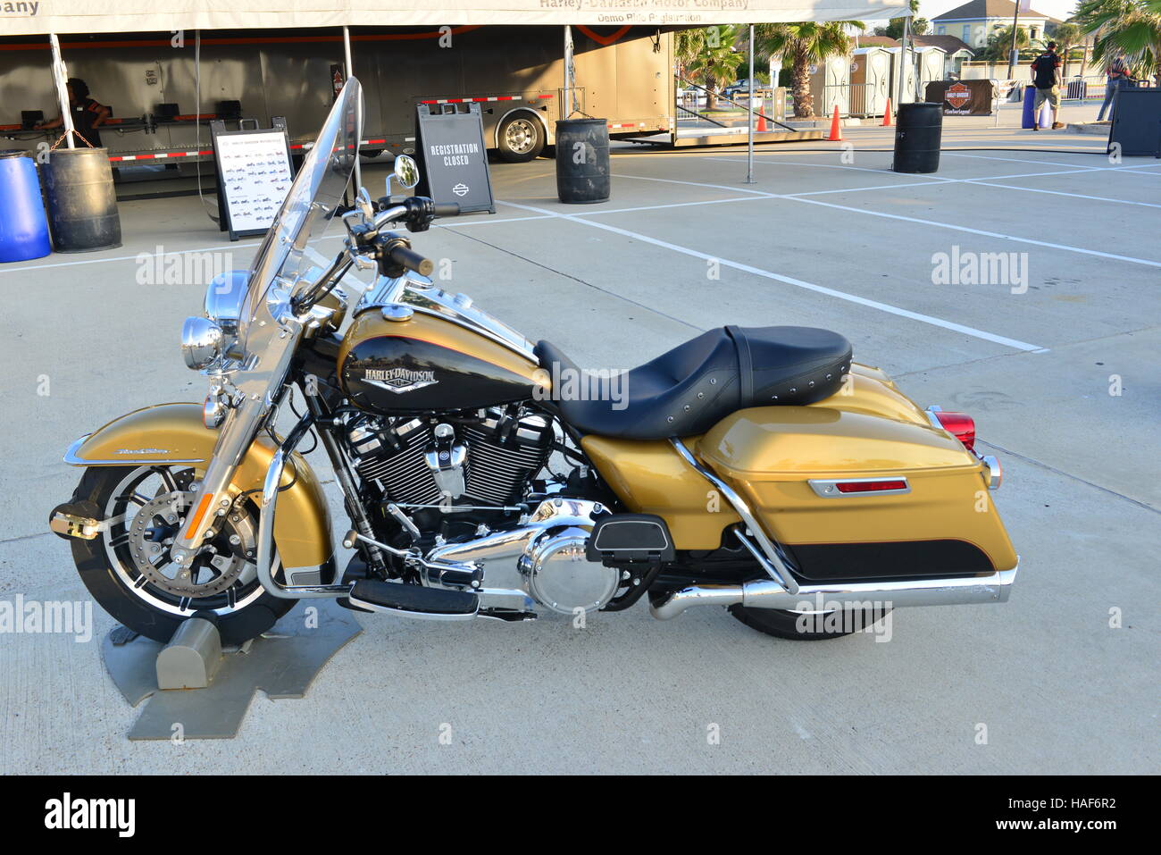 Harley Davidson Motorcycles at Galveston in Texas Stock Photo Alamy