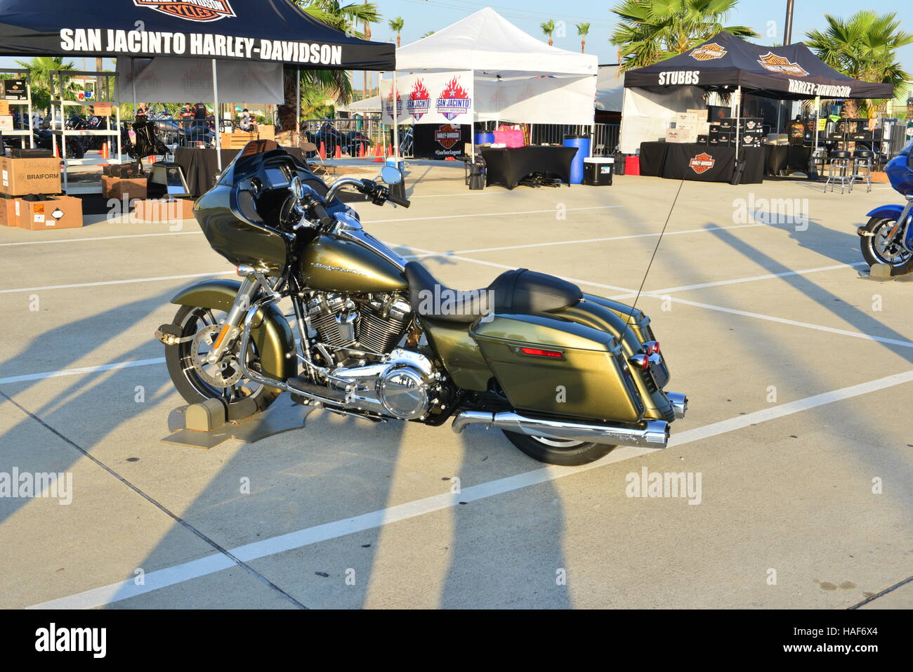 Harley Davidson Motorcycles at Galveston in Texas Stock Photo Alamy