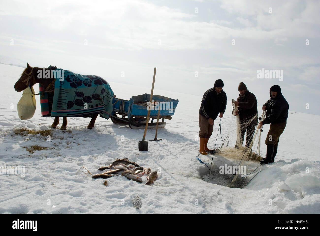 Winter fishing  on  frozen cildir lake in the province of Ardahan. Stock Photo