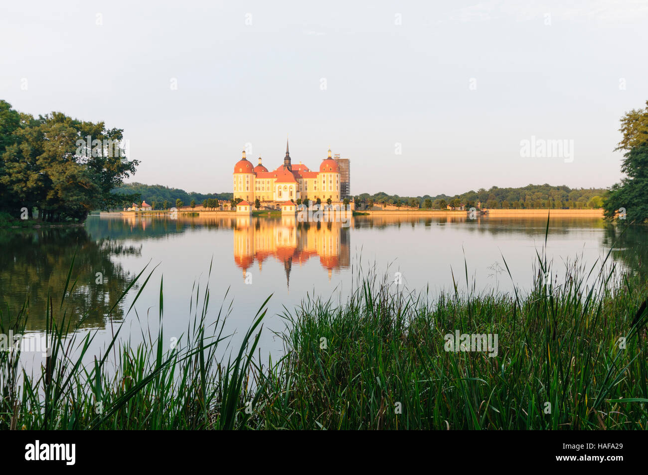 Moritzburg: castle , Sachsen, Saxony, Germany Stock Photo