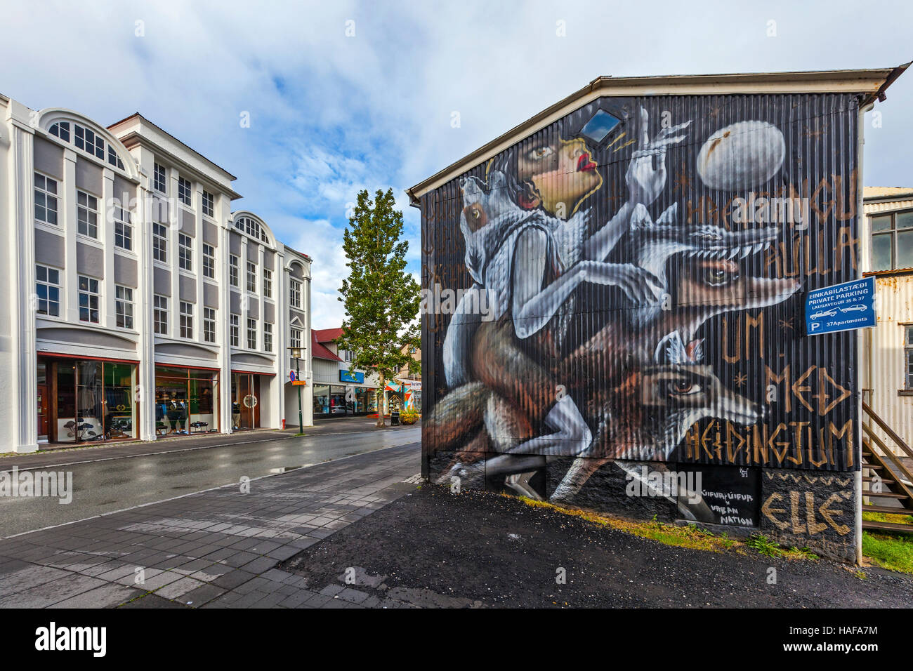 Graffiti art on the side of a building on Laugavegur in Reykjavik, Iceland in the early morning. Stock Photo