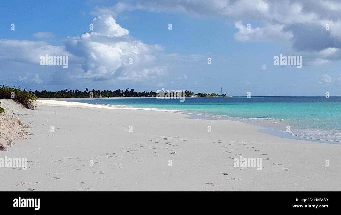 White sand beach in Caribbean Stock Photo