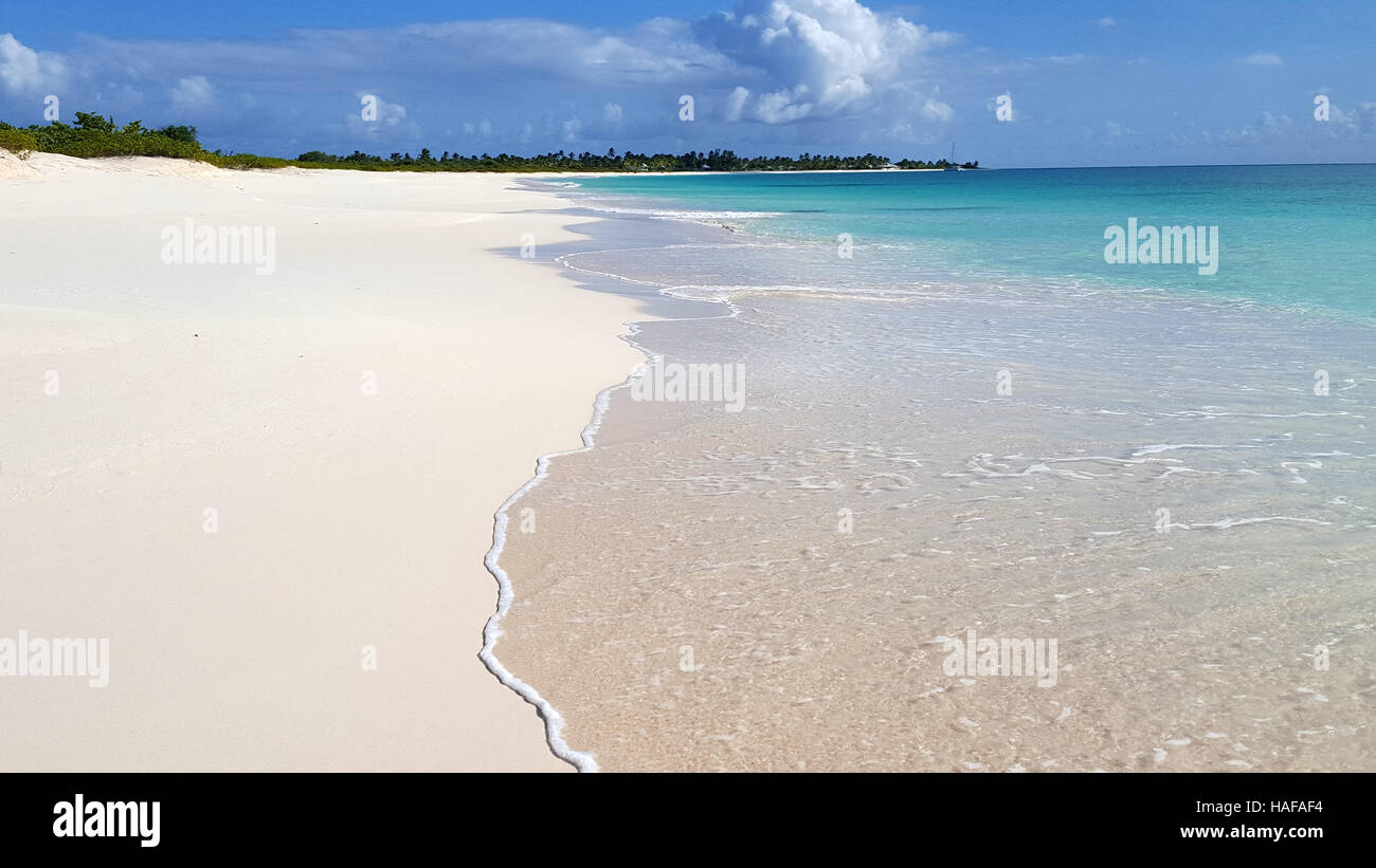 White Sand Beach And Crystal Clear Blue Waters In The Caribbean