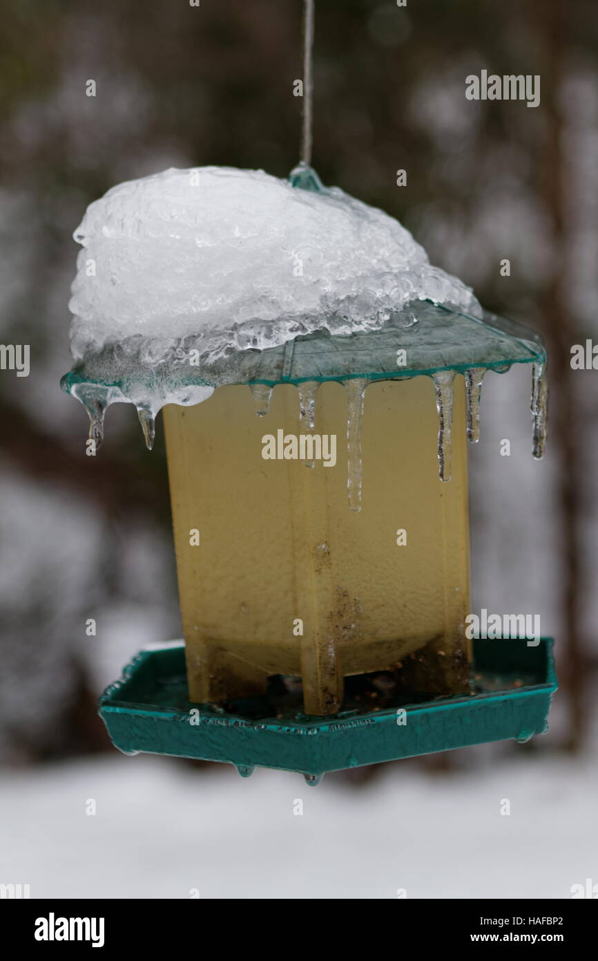 Dirty feeder hires stock photography and images Alamy