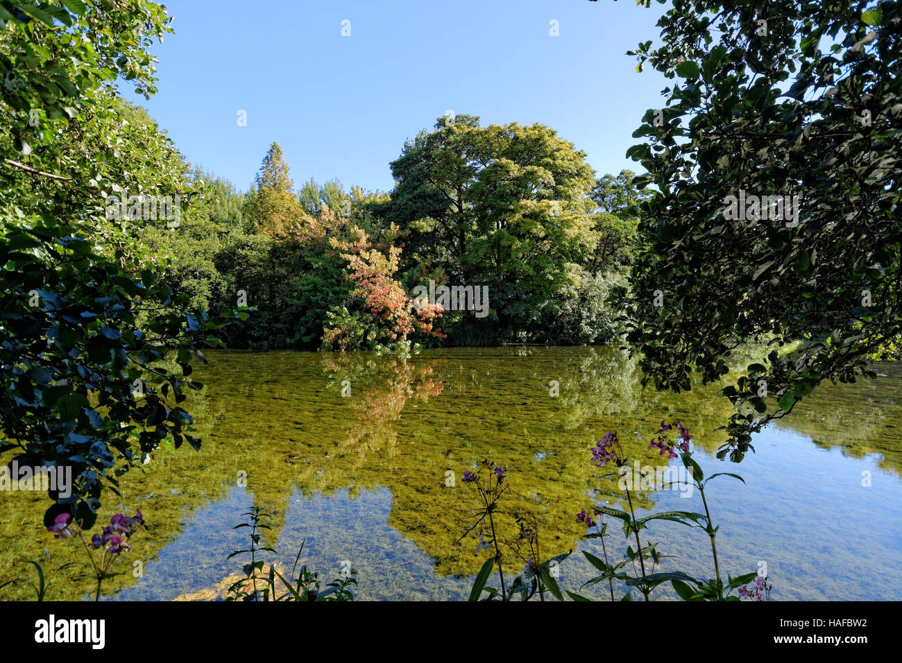 The Kingston Maurward Estate in Dorset, England, UK includes a a large Grade I listed