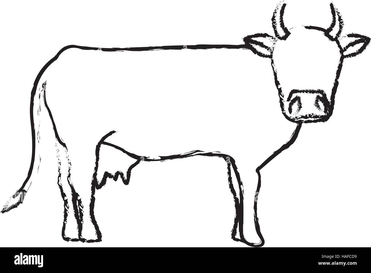 Indian Cow Vector Art Icons and Graphics for Free Download