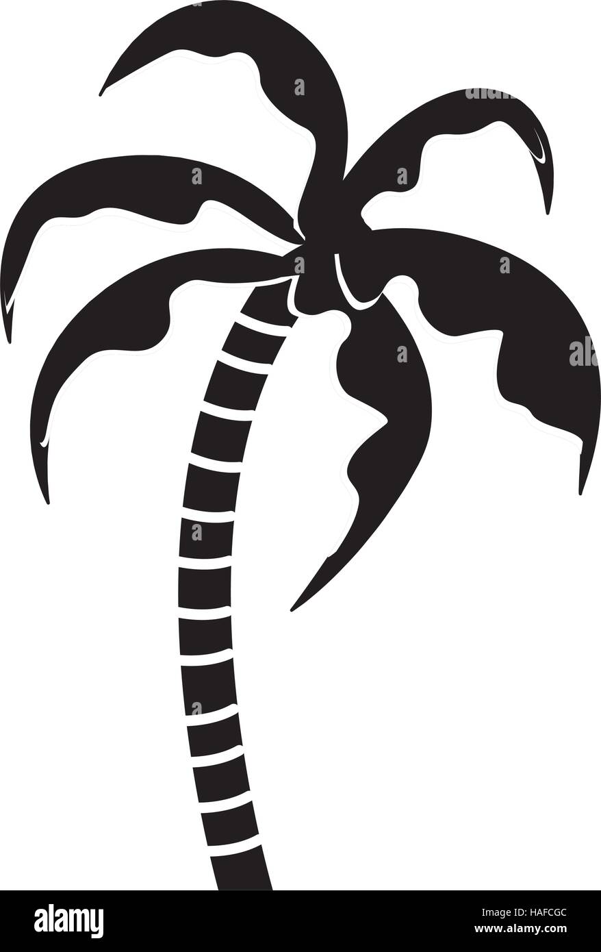 Isolated palm tree Stock Vector Image & Art - Alamy
