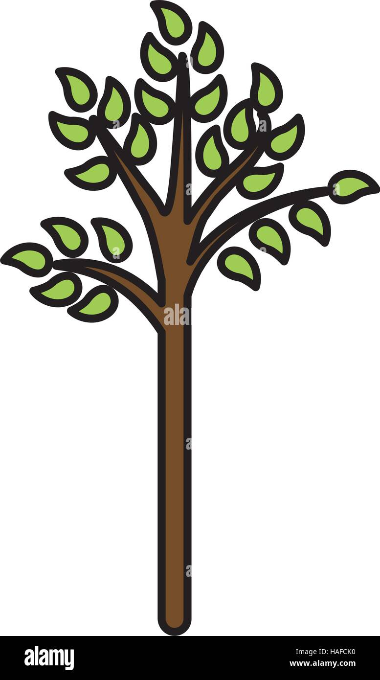 tree green nature Stock Vector Image & Art - Alamy