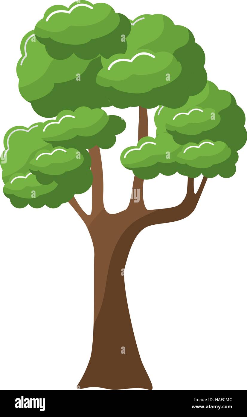 tree green nature Stock Vector Image & Art - Alamy