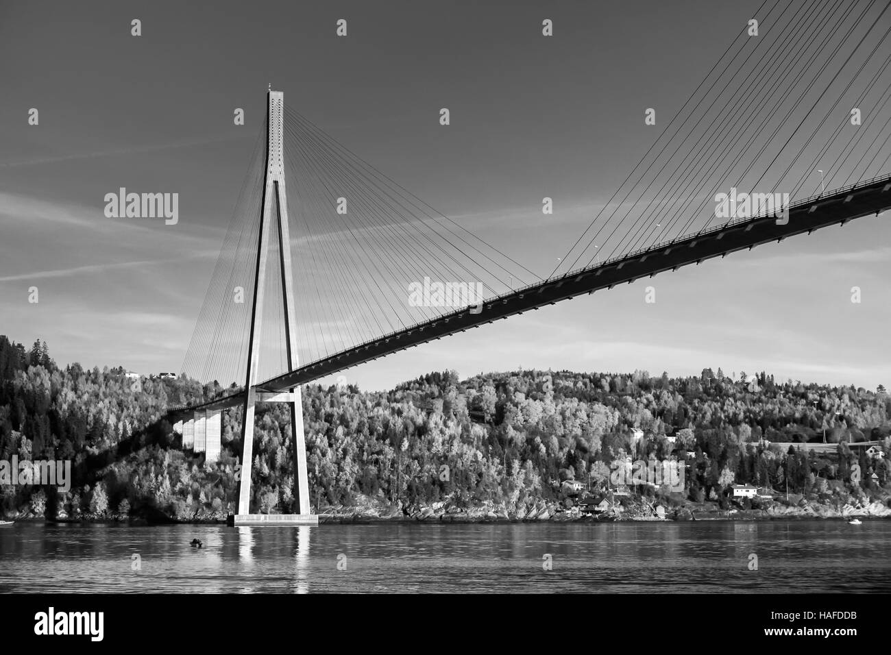 Black and white photo of Skarnsund Bridge, modern automotive cable