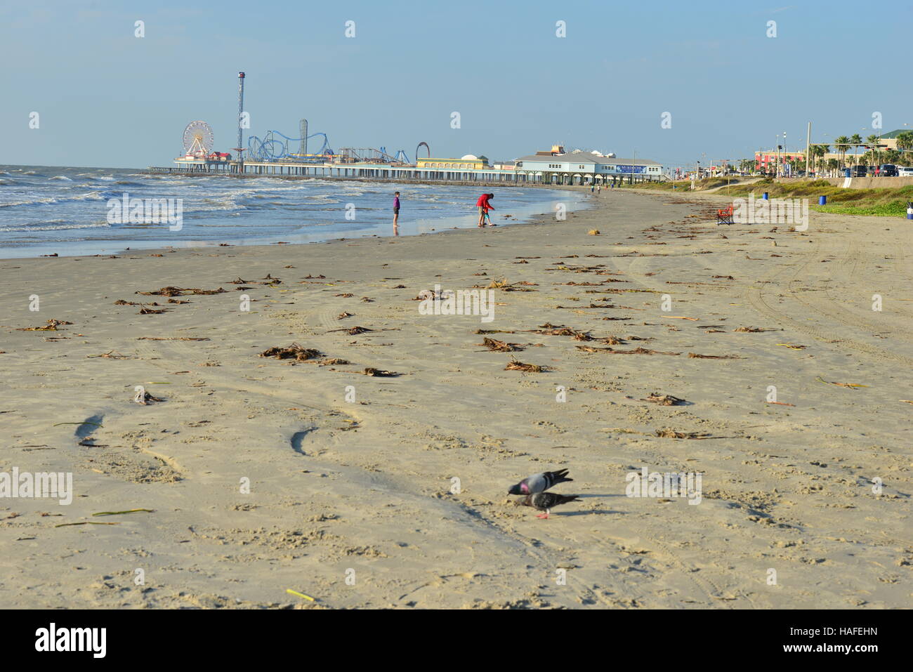 The beach at Galveston in Texas in November Stock Photo Alamy