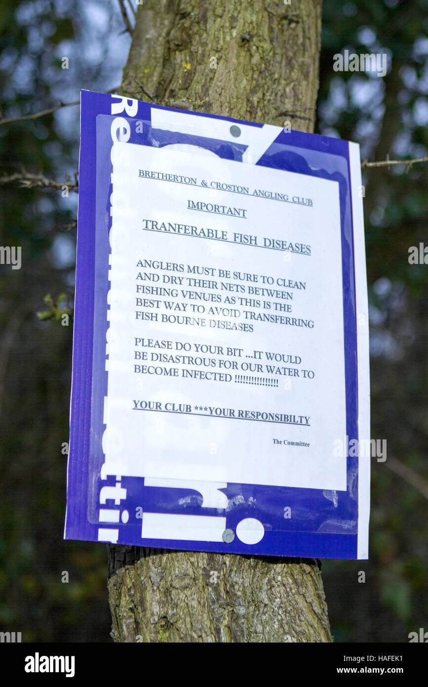 Angling club sign warning of transferable fish diseases, Bretherton, Lancashire, UK. Stock Photo