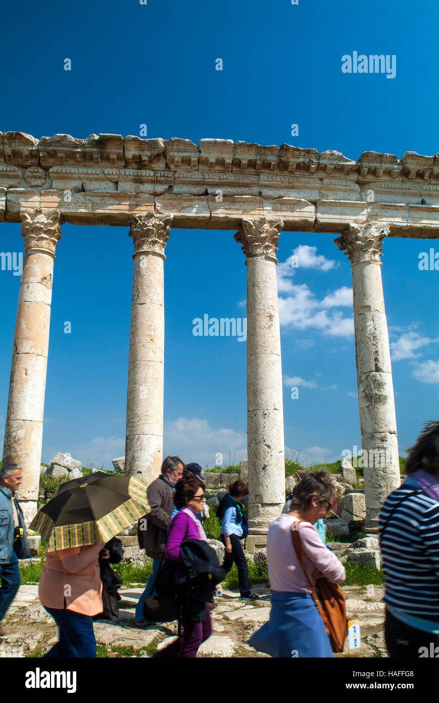 The Great Colonnade, built by the Romans in the 2nd century AD, at the ancient city of Apamea near Hama in Syria. Stock Photo