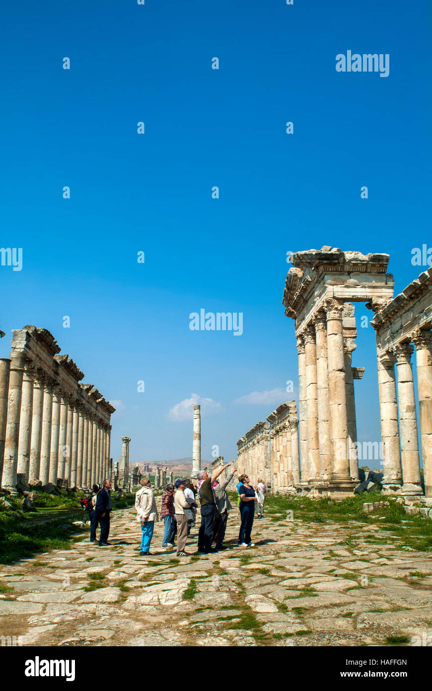 The Great Colonnade, built by the Romans in the 2nd century AD, at the ancient city of Apamea near Hama in Syria. Stock Photo