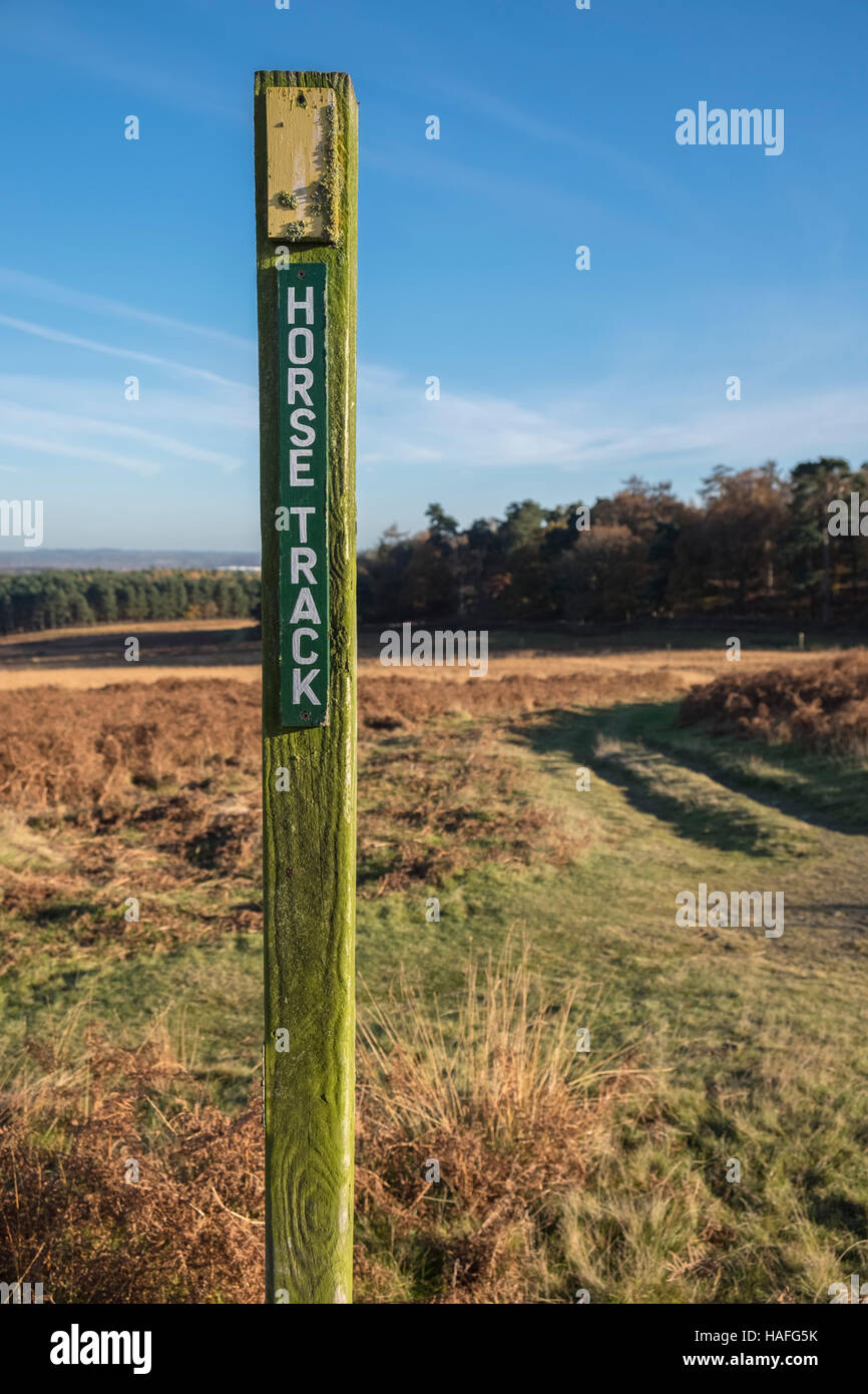 Horse Track sign marker, Bradgate Park, Leicestershire, UK Stock Photo