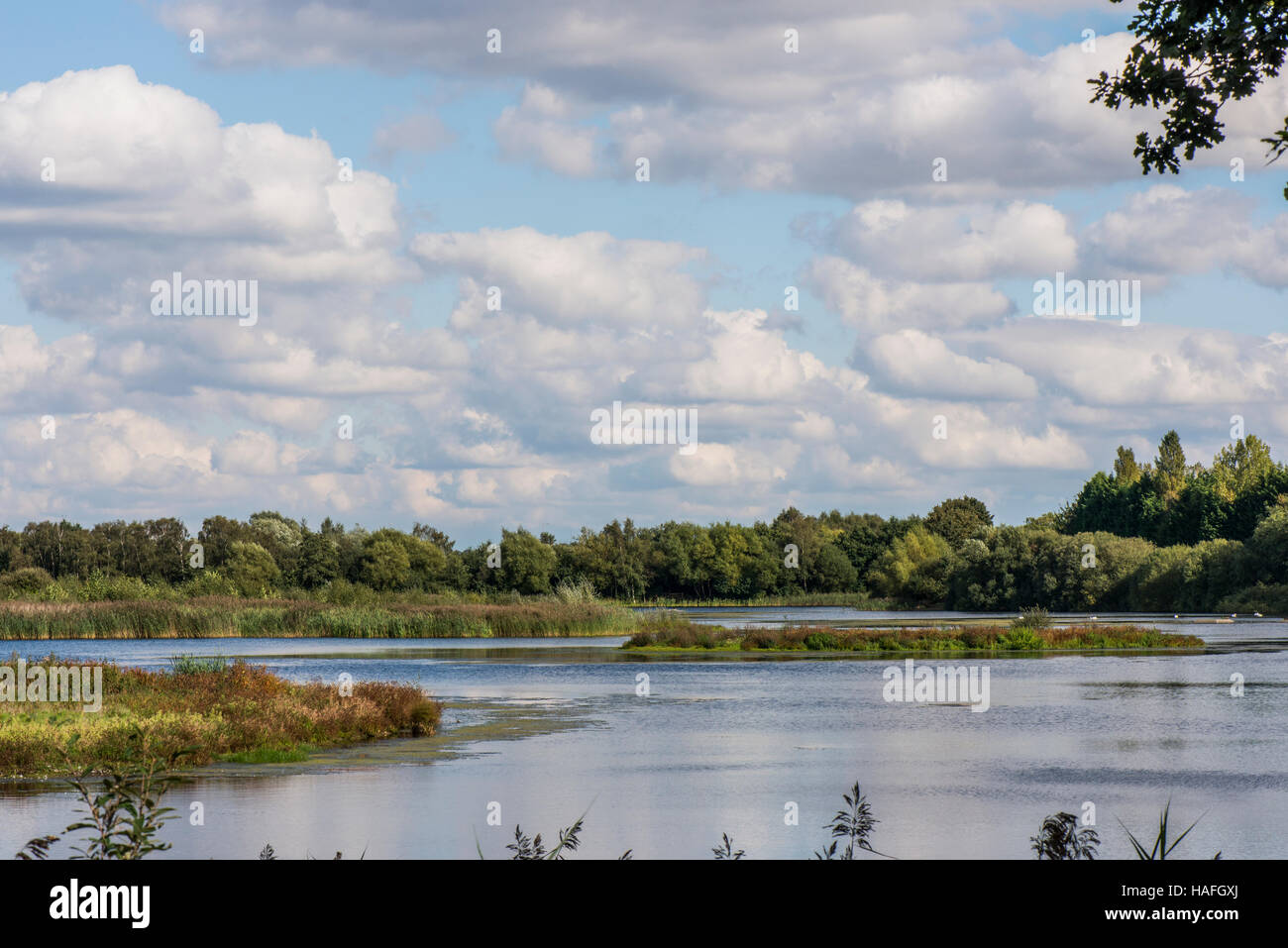 One of the man made lakes within Whisby Nature Park, near Lincoln, Lincolnshire, UK Stock Photo