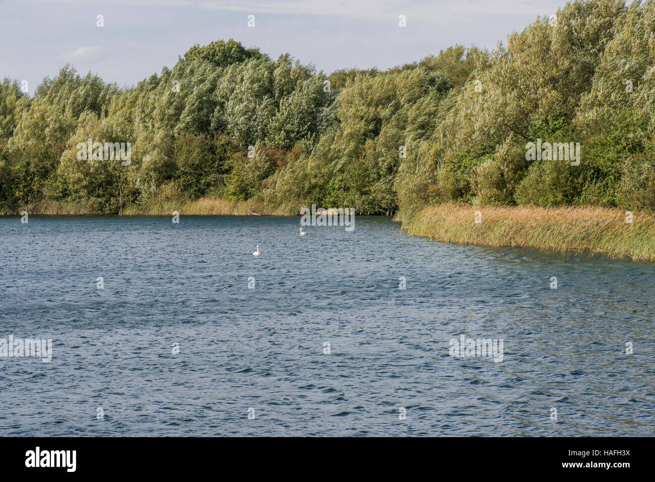 wallpapers Blue Lagoon Lake Milton Keynes https www alamy com stock photo blue lagoon nature reserve bletchley near milton keynes buckinghamshire 126961854 html