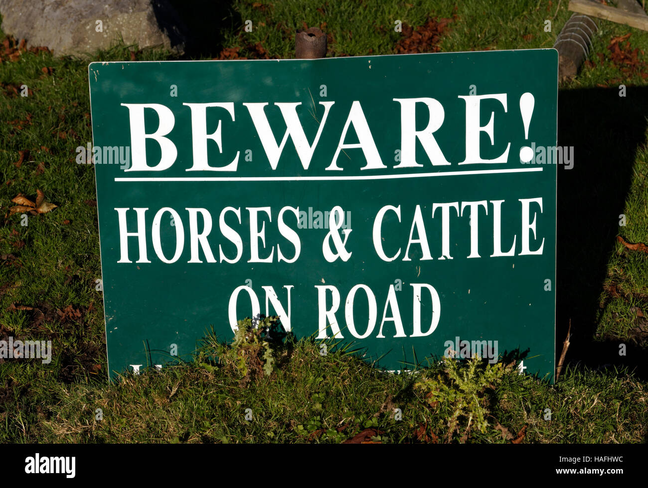 Warning sign 'beware horses and cattle on road, Llantrisant Common, Llantrisant, Rhondda Cynon Taf, South Wales. Stock Photo