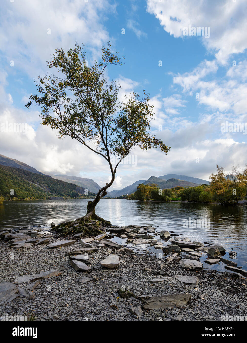Llyn Padarn and view towards Snowdon, Llanberis, Snowdonia National