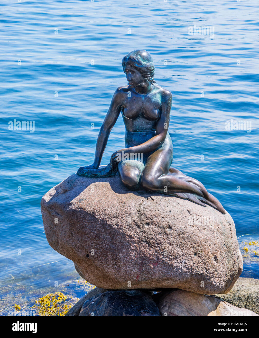 Denmark, Zealand, Copenhagen, The Little Mermaid bronce statue at Langelinie promenade Stock Photo