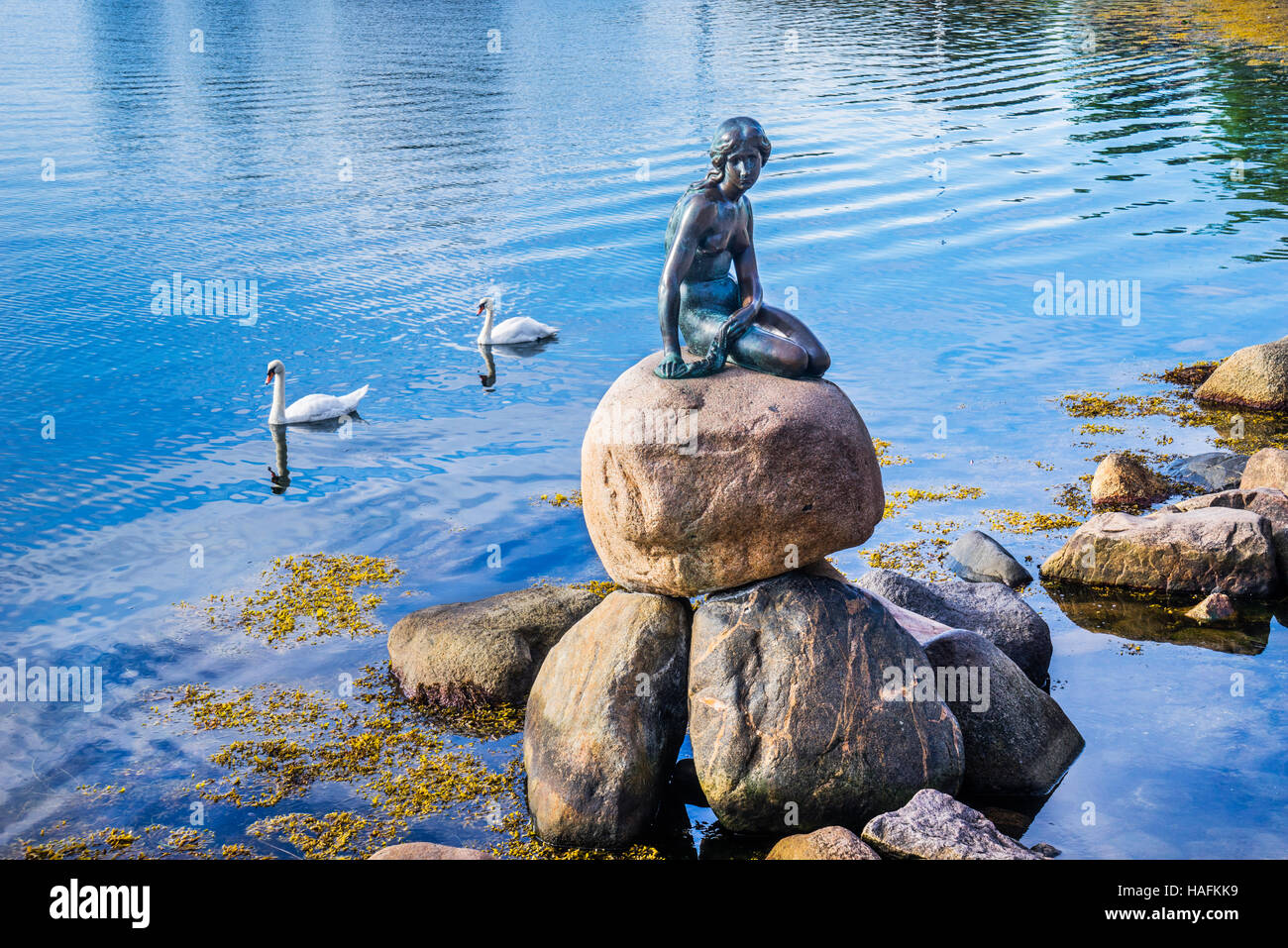 Denmark, Zealand, Copenhagen, The Little Mermaid bronce statue at Langelinie promenade Stock Photo