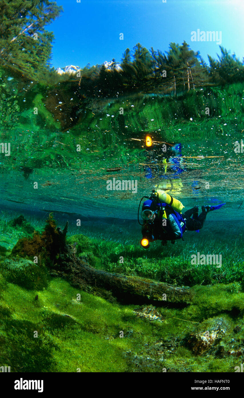 Scuba diving in the Green Lake in Styria, Austria, Europe Stock Photo