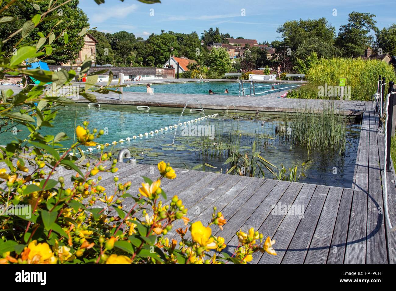 BAIGNADE BIOLOGIQUE, PISCINE ECOLOGIQUE / NATURAL SWIMMING POOL, ECOLOGICAL POOL Stock Photo