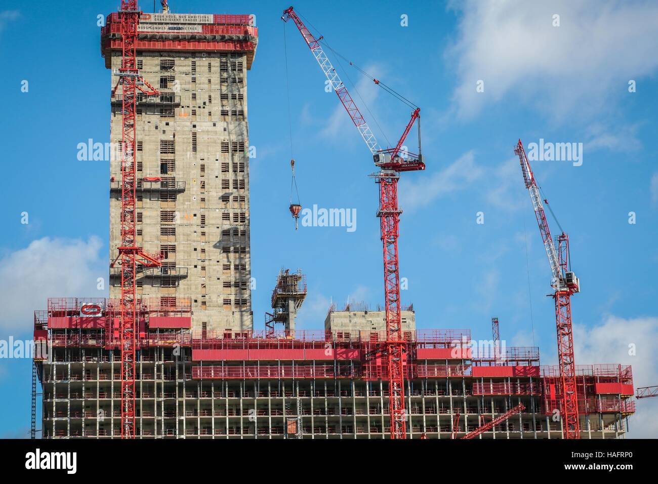 TGI PARIS Stock Photo
