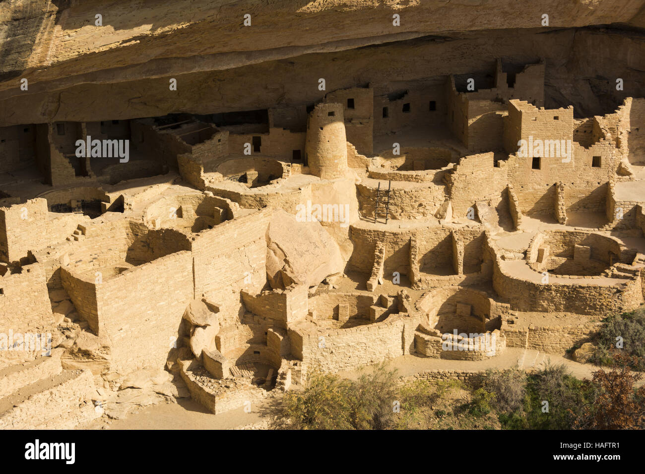 Colorado, Mesa Verde National Park, Cliff Palace Stock Photo - Alamy