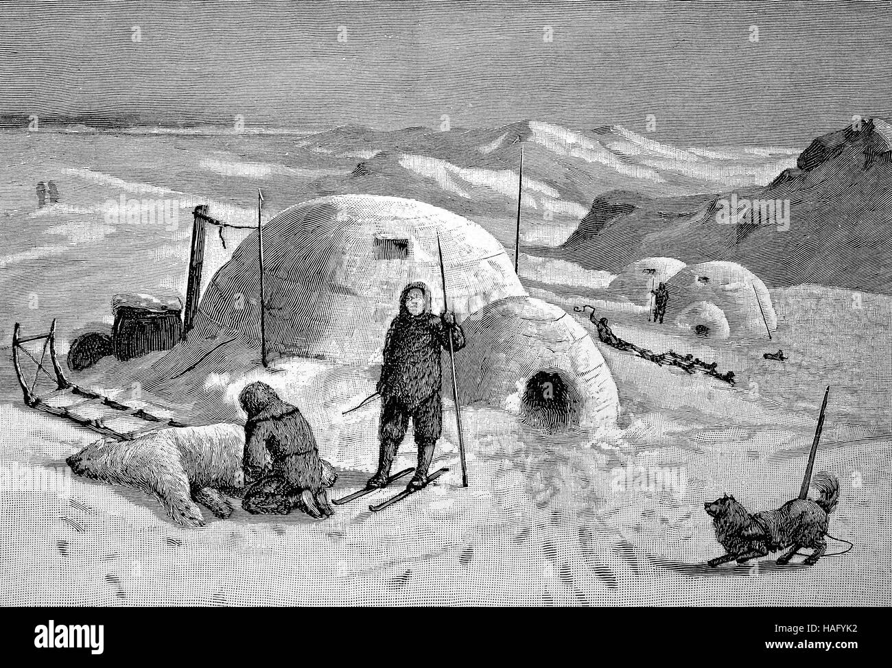Community of igloos of Inuits, Greenland, woodcut from the year 1880 Stock Photo