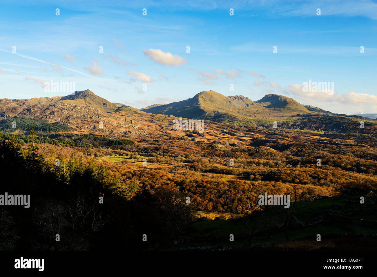 The Moelwyn Mountains in South Snowdonia, Gwynedd. Stock Photo