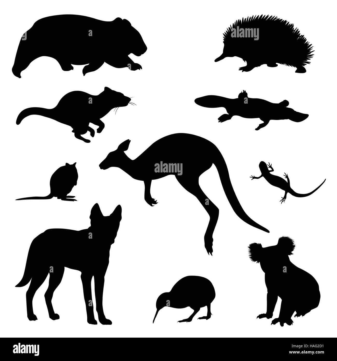 Australian animal vector set Stock Photo