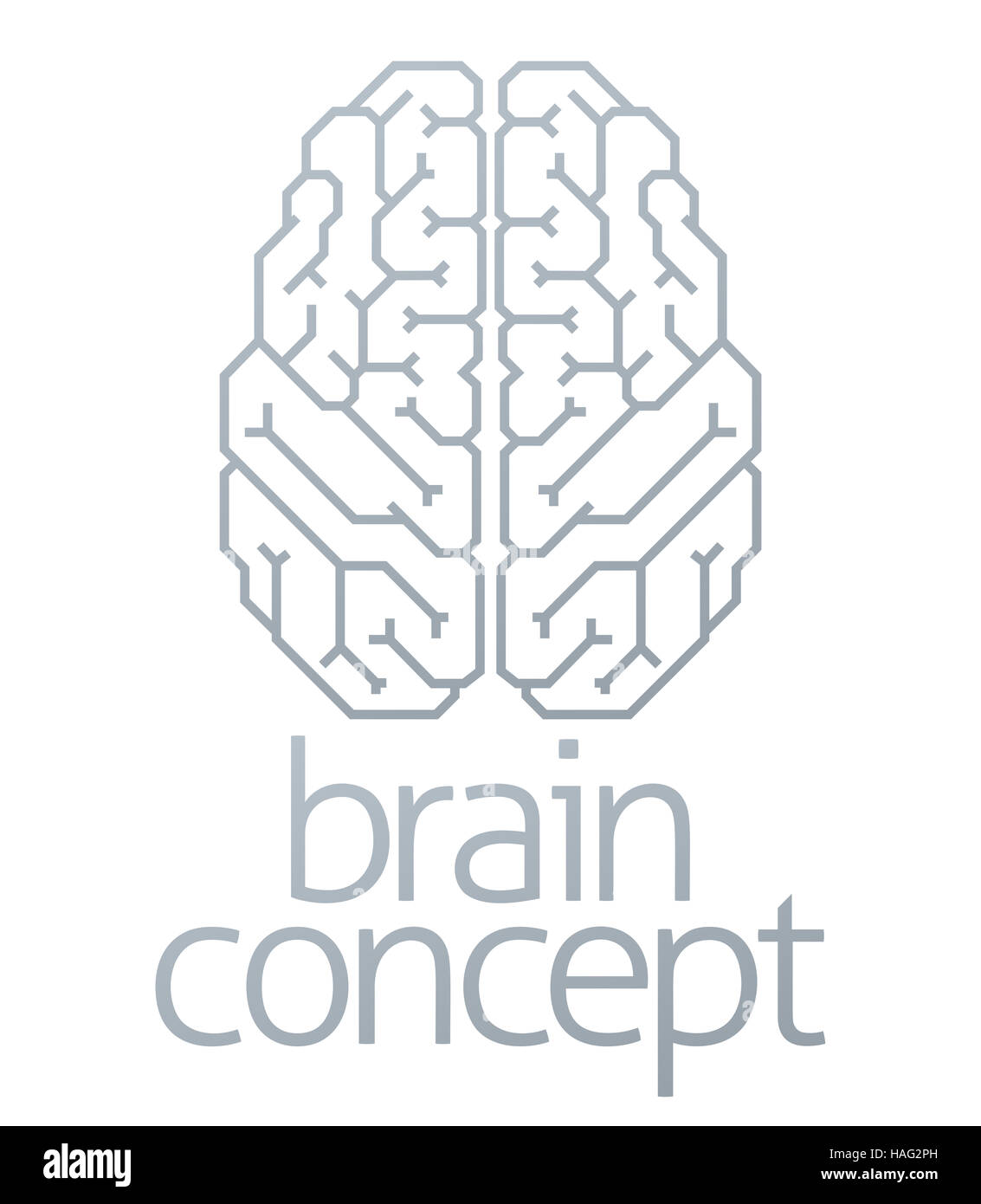 Illustration of a stylised brain from the top Stock Photo