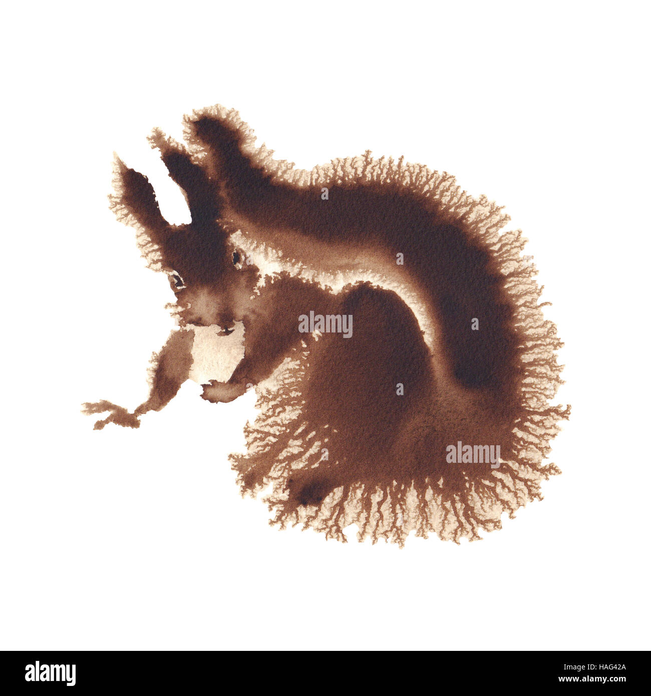Squirrel Painting Hi-Res Stock Photography And Images - Alamy
