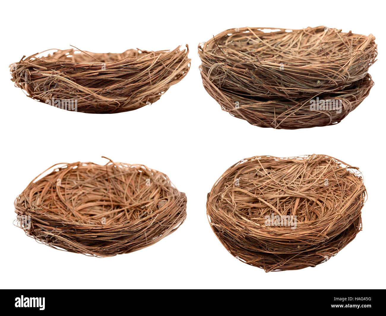 Empty nest egg Cut Out Stock Images & Pictures Alamy