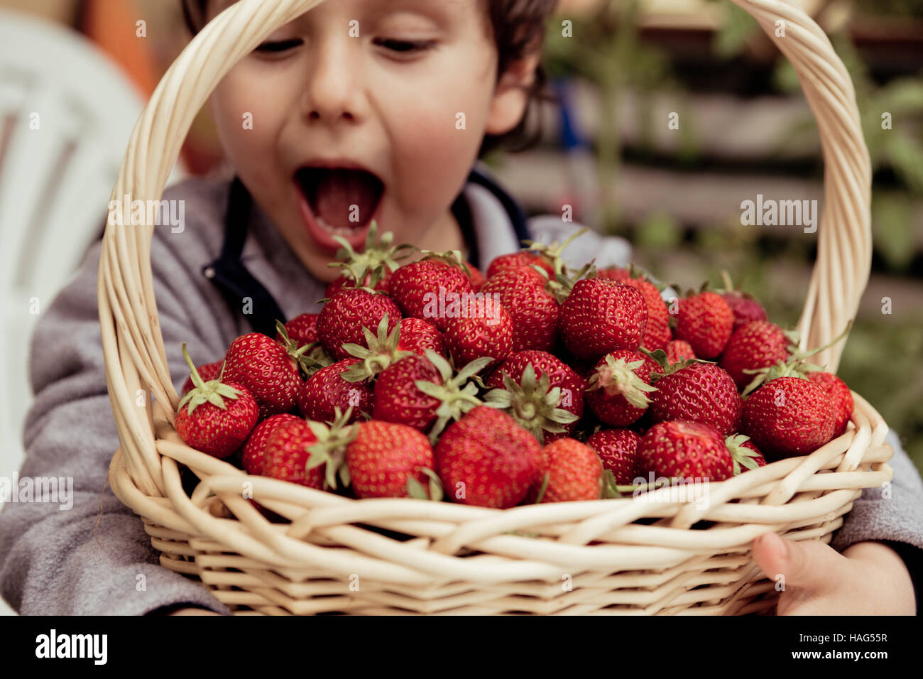 Little boy having fun on strawberry farm. Cute boy child eating healthy