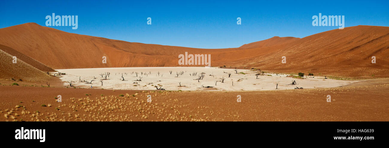 Panoramic view of the salt pan and petrified trees in Dead Vlei in the Namib-nuakluft Desert near Sossusvlei in Namibia Stock Photo