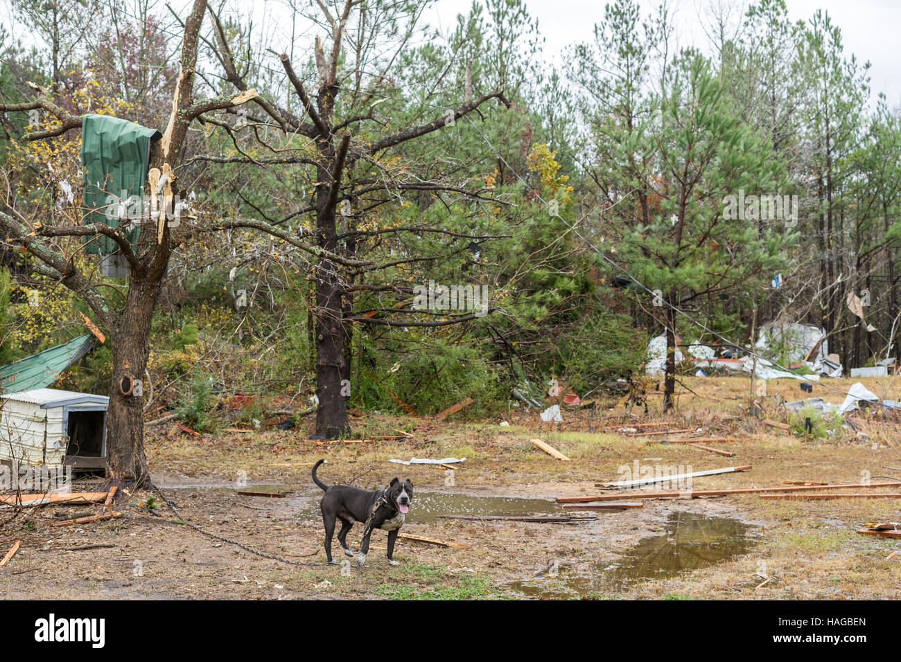 Alabama tornado damage hires stock photography and images Alamy