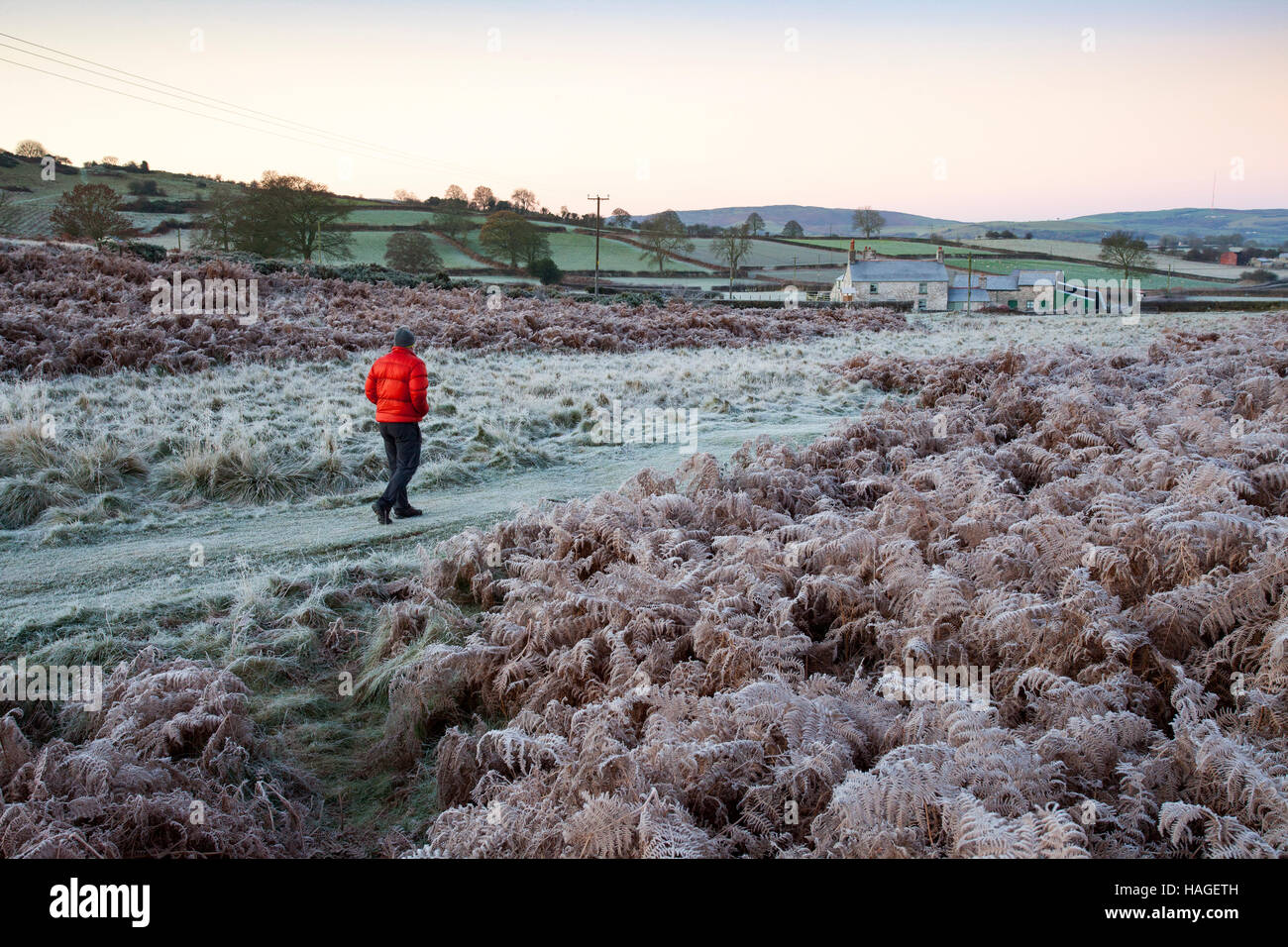 A walker takes an early monring walk over Halkyn Mountain in the ...