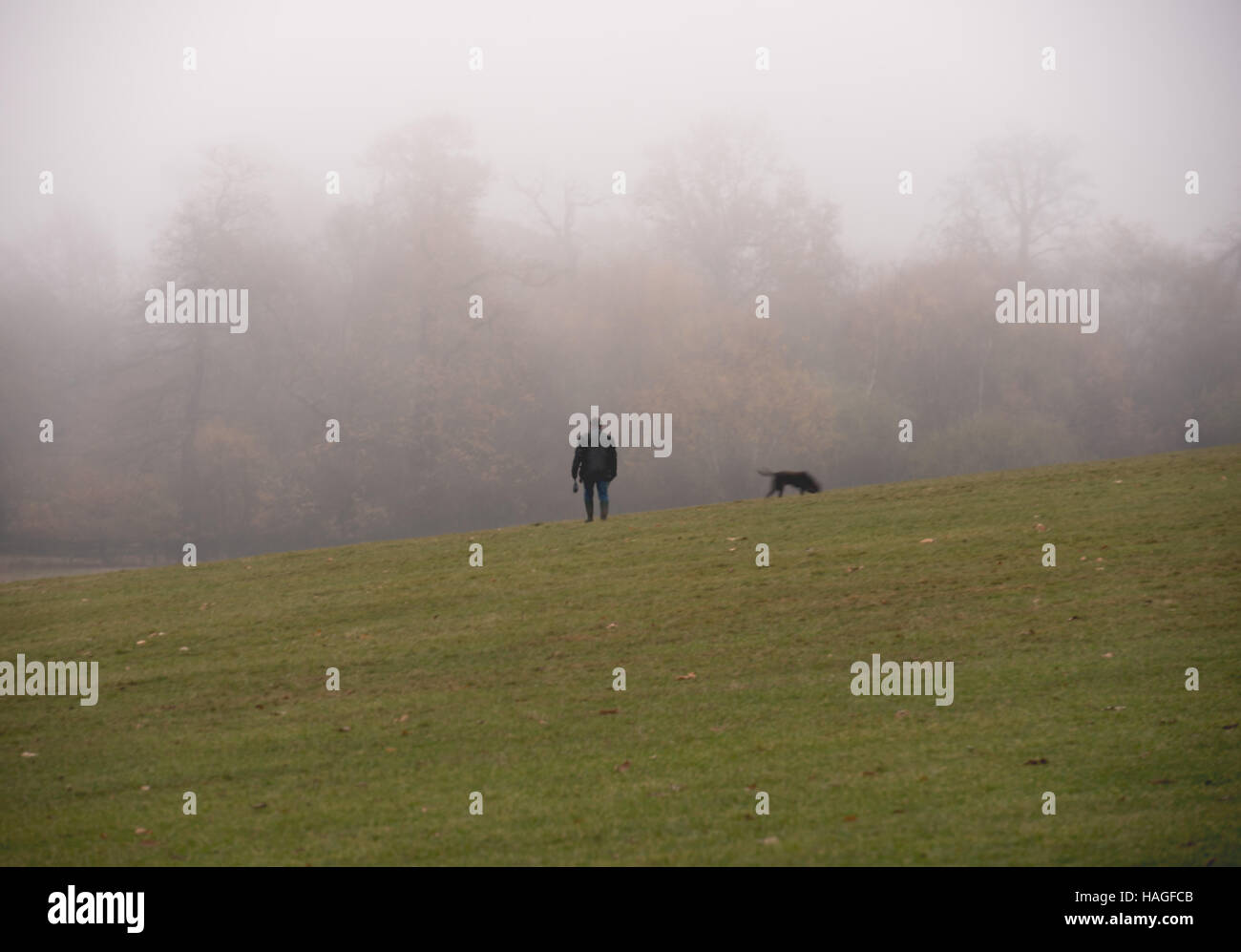 Brentwood, Essex, 1st December 2016, Misty morning in Weald Park Credit:  Ian Davidson/Alamy Live News Stock Photo