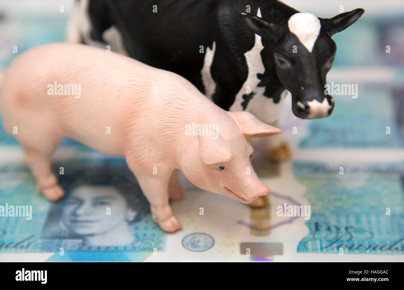 Protest petition by vegetarians over use of animal products (tallow) in new polymer five pounds banknotes, London Stock Photo
