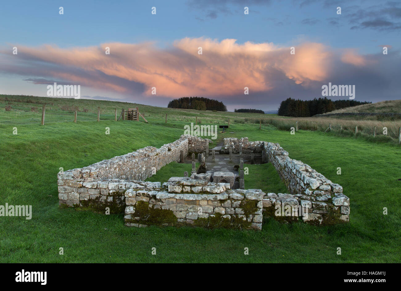 Mithraic Temple at Carrawburgh, Hadrian's Wall, Northumberland Stock Photo