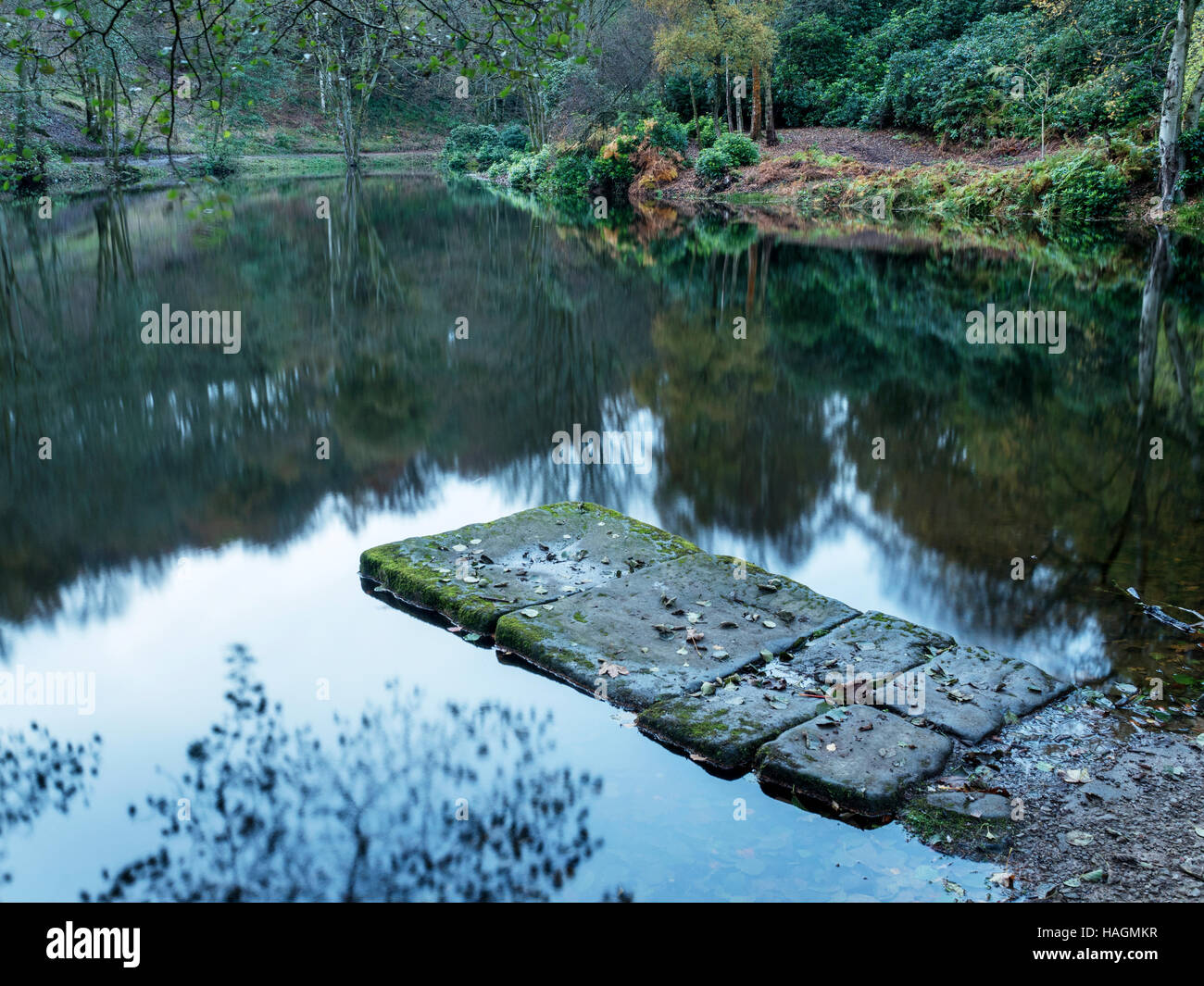 Pond jetty hires stock photography and images Alamy