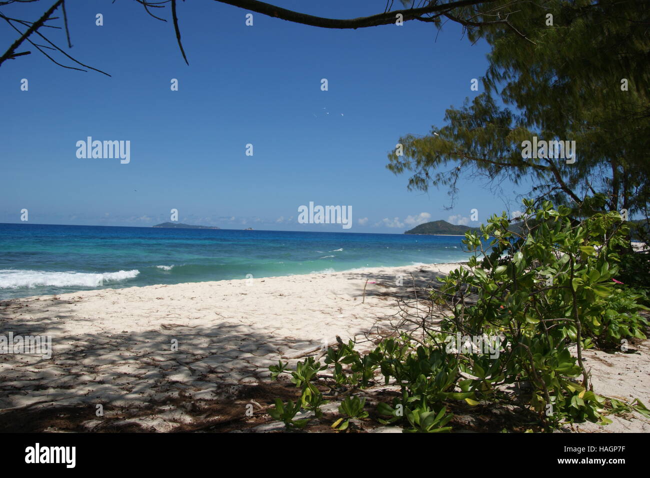 Deserted beach in Ocean. Cousin Island, Seychelles,  Indian Ocean Stock Photo